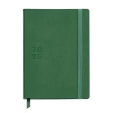 AGENDA PLUS 4ºDP VERDE BASICS 25